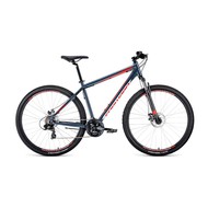  Forward Apache 29" 2.0 disc AL 17" / 2019-2020